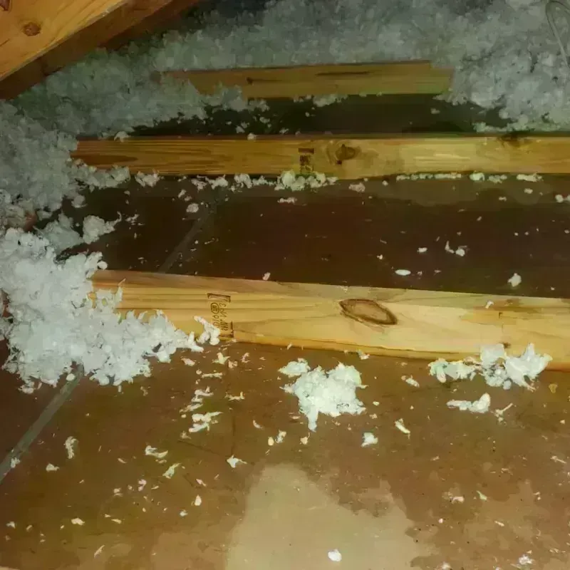 Attic Water Damage in Tuscumbia, AL